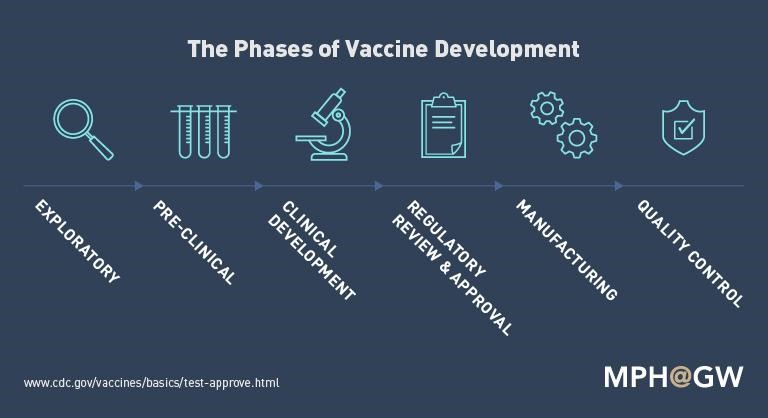 Phases of Vaccine Development