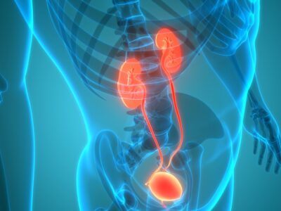 Bladder Health and Incontinence