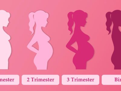 First Trimester Pregnancy Health Tips