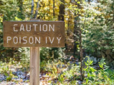 Poisonous Plants: Keeping Your Family Safe