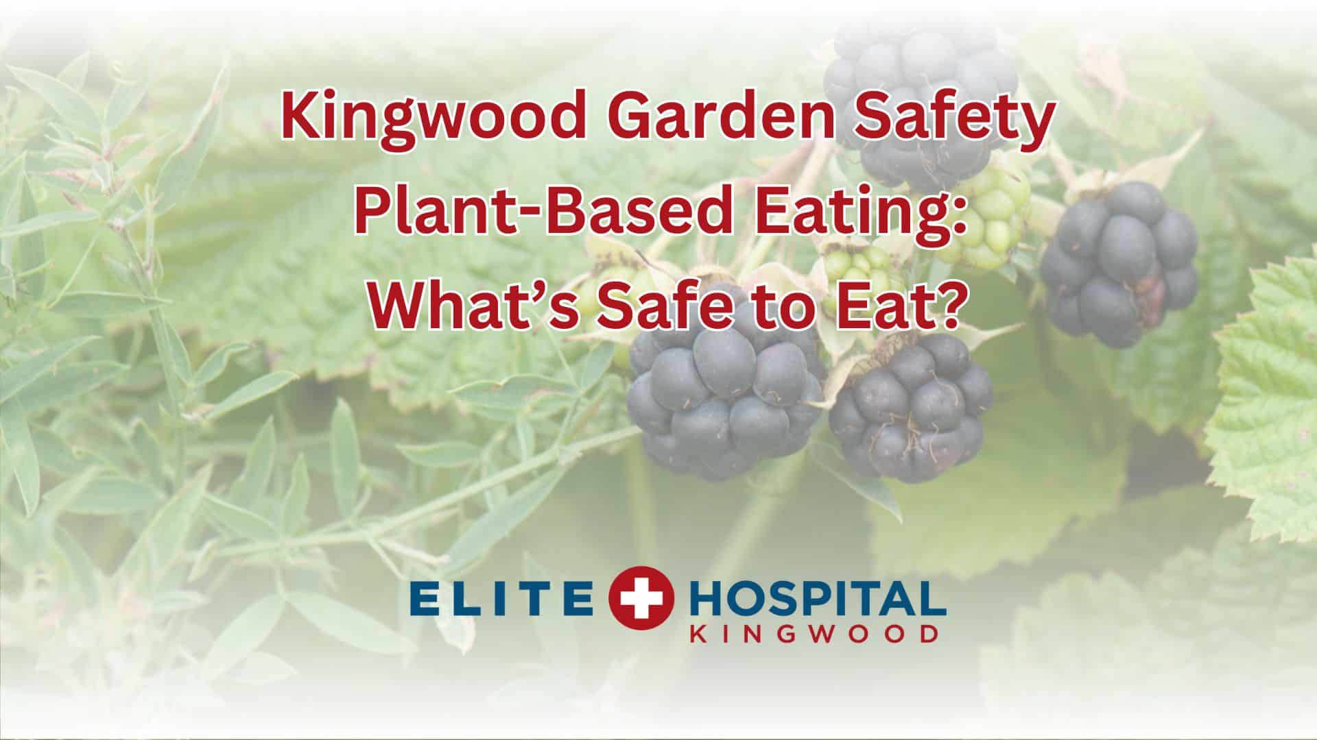 Kingwood Garden Safety Plant-Based Eating What’s Safe to Eat