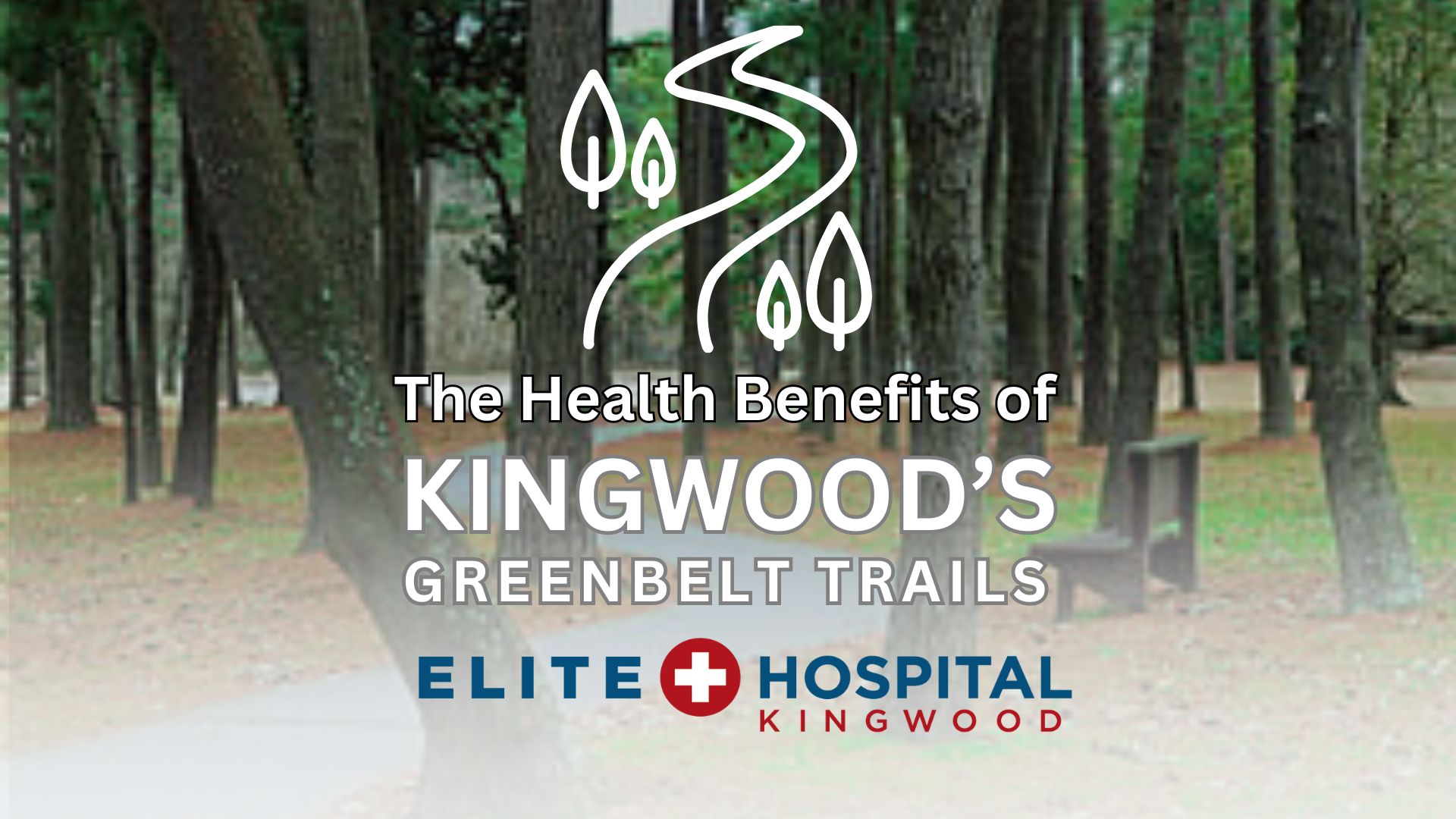 Exploring the Health Benefits of Kingwood's Greenbelt Trails