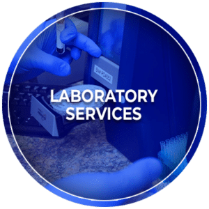 24 Hour Laboratory and Bloodwork Services in Kingwood, Texas