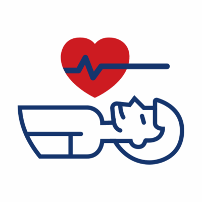 Cardiology