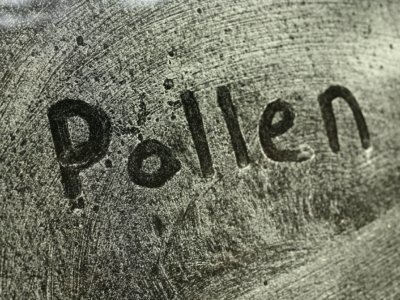 Yellow pollen covering cars during Houston pollen season in Kingwood Texas